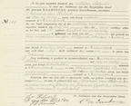 RD-geboorte-1900-159